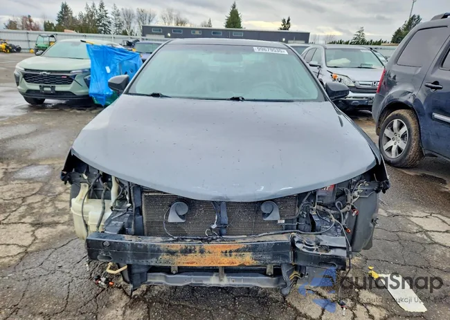 4T1BK1FK9CU004901: 99679535