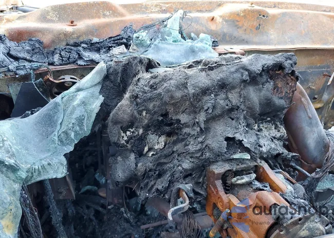 3GTP1NEC6HG217877: 98132415