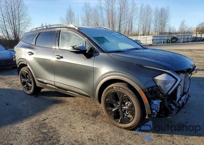 KNDPYDDH7S7199783: 73943765