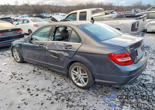 WDDGF8AB8DR261394: 97728145