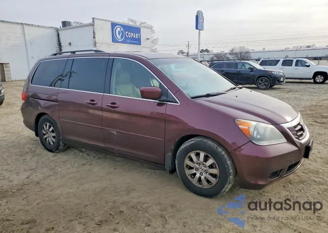 5FNRL38688B409787: 99800775