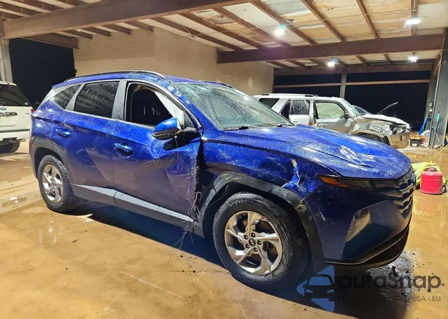 5NMJB3AE4NH003131: 72682275