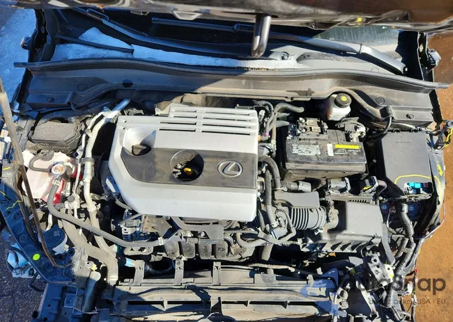 JTHP3JBH8M2042844: 74279865