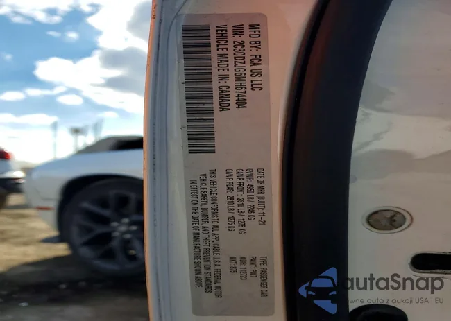 2C3CDZJG6MH674404: 99419035