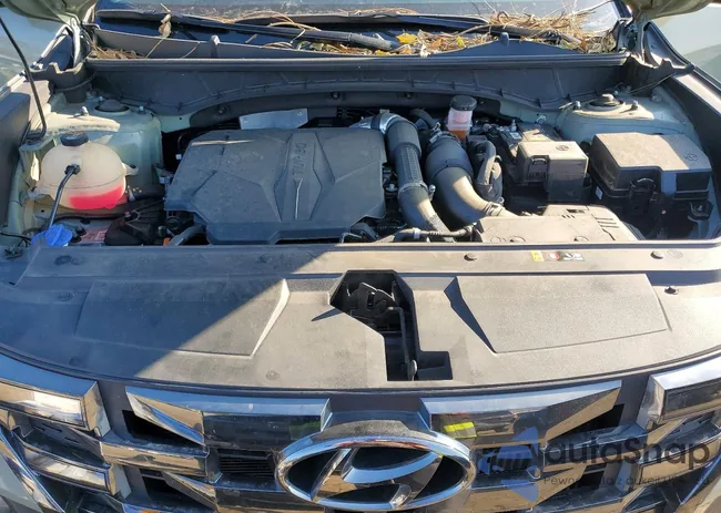 5NTJEDAF8PH046402: 97270375