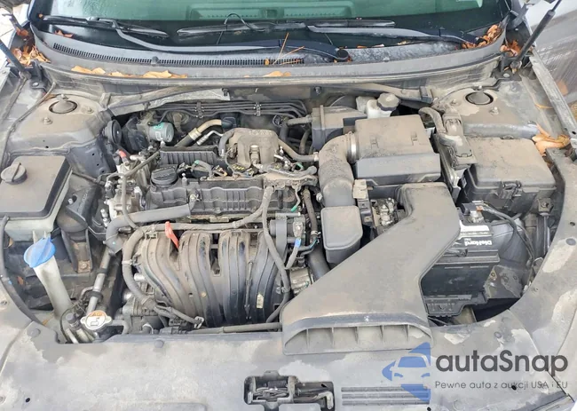 5NPE24AF5KH768430: 99721495