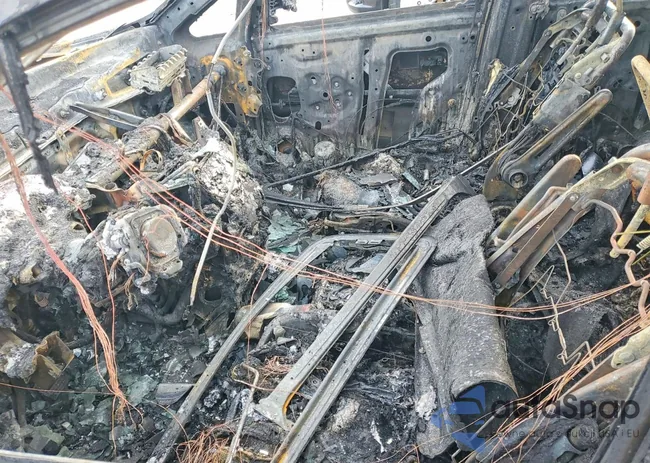 5FNRL5H65BB101642: 99622505