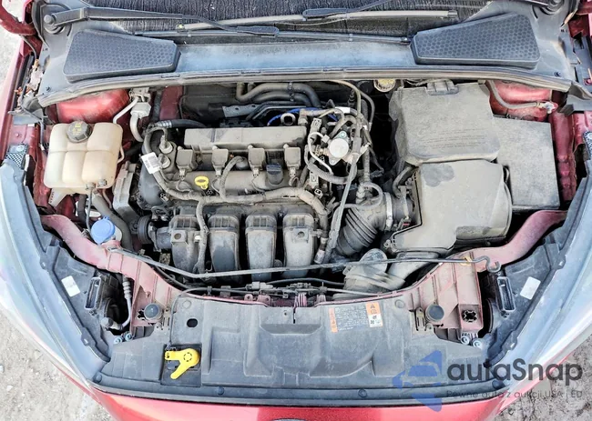 1FADP3F29GL355951: 98658315