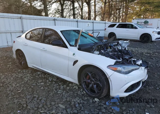 ZARFAMEV6K7607345: 99768105