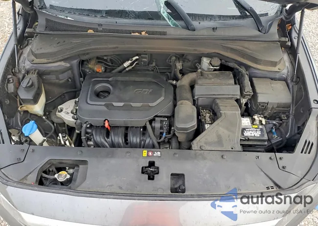 5NMS23AD9KH031787: 99831665