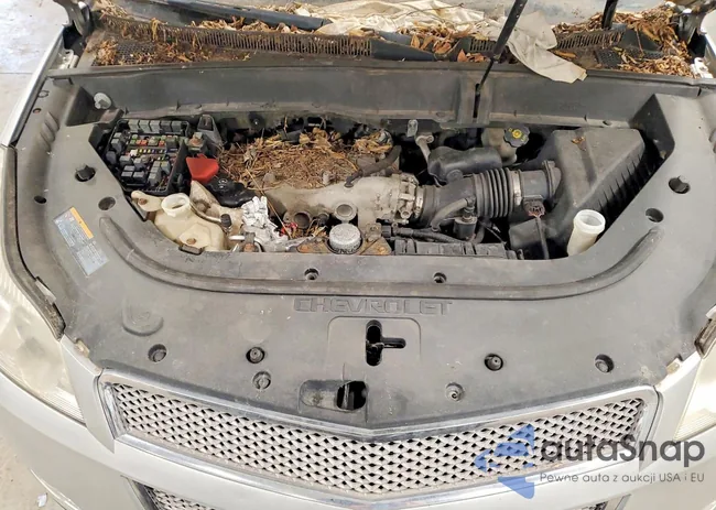 1GNKVLED6BJ164672: 99203035