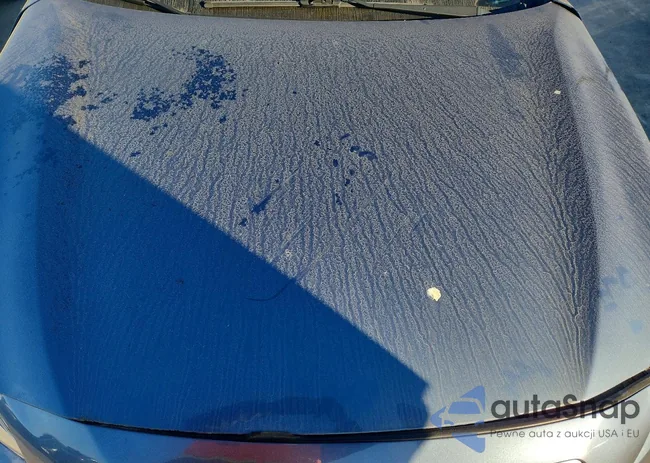 4S4BSANC4H3381353: 99509105