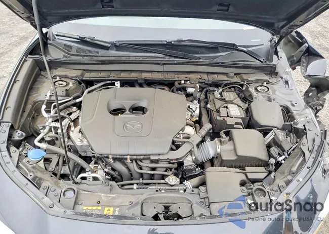 3MVDMBAM8RM666566: 99136485