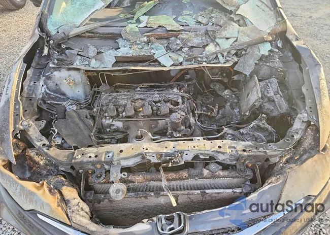 2HGFG3B88EH506786: 75264795