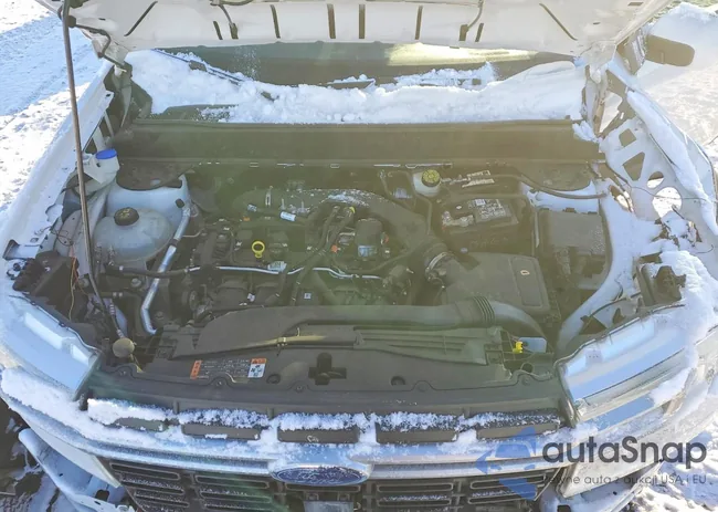 3FTTW8F93NRA23182: 73836265