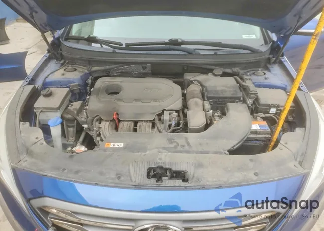 5NPE34AF6HH550311: 99568595