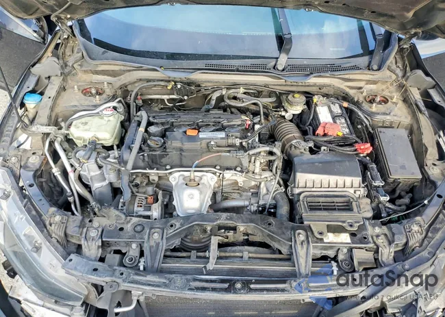 2HGFC2F87KH594953: 74038395