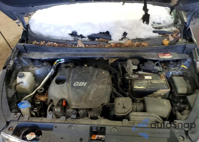 KNDPBCACXF7698653: 74253855