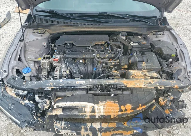 KMHLM4DG6RU819905: 98646885