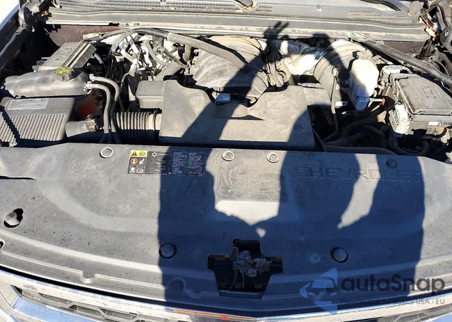 1GNSCBKC4GR234285: 98559925