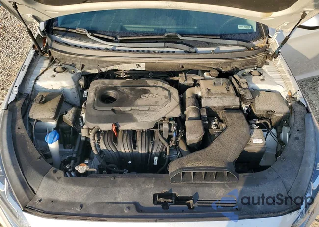 5NPE24AFXKH818948: 72484715