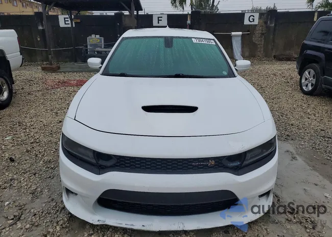 2C3CDXGJ9LH174971: 73041505