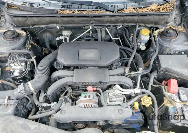 4S4BRCLC5B3336374: 98751405