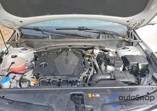 5XYK53AF2PG044584: 99528435