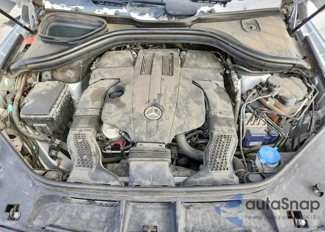 4JGDF6EEXGA622967: 74928745