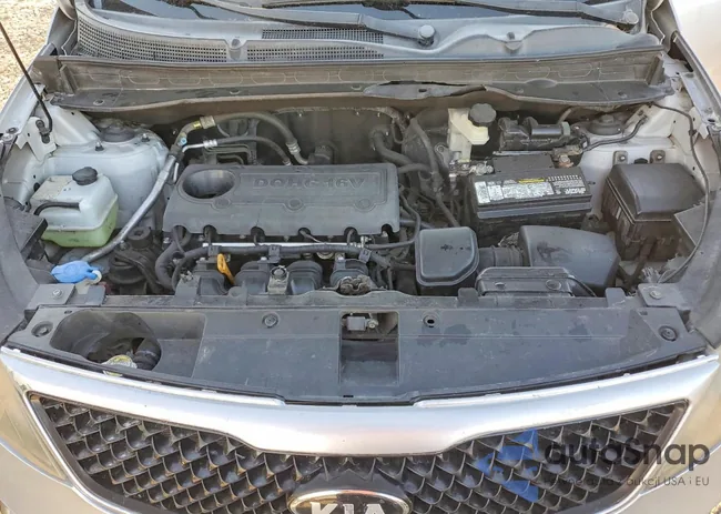 KNDPB3A29D7422467: 99877565