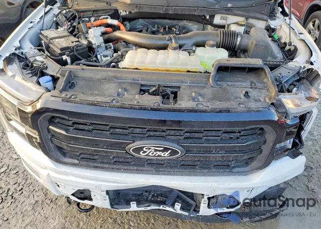 1FTFW5LD2RFB16024: 74618855