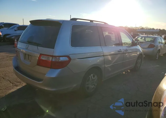 5FNRL38667B095569: 73782325