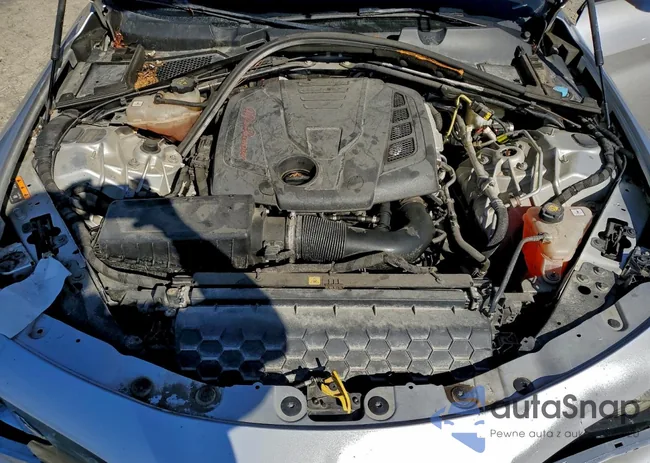 ZARFAMBN1K7609640: 73444715