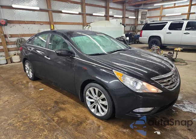 5NPEC4AC0DH797372: 99297005