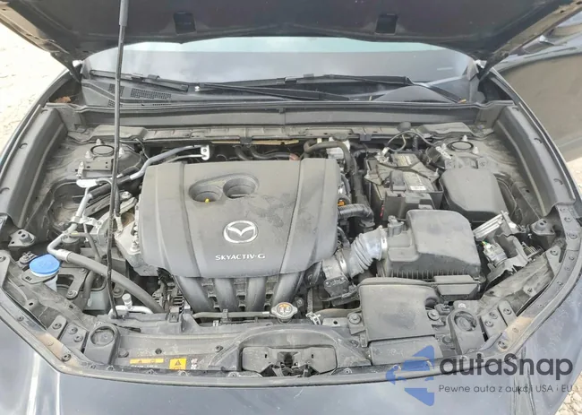 3MVDMAAL6MM209863: 73455165