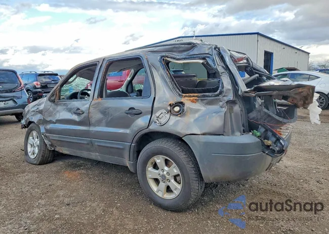 1FMYU93166KC24446: 99638325