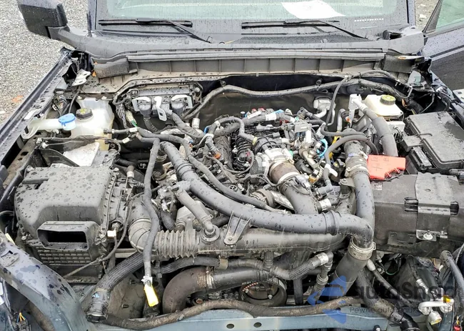 1FMEE5DP6MLA98995: 72623165