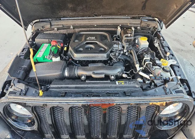 1C4HJXDN5LW190748: 99779625