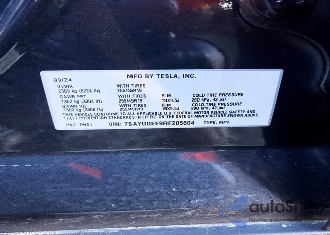 7SAYGDEE9RF205604: 73665755