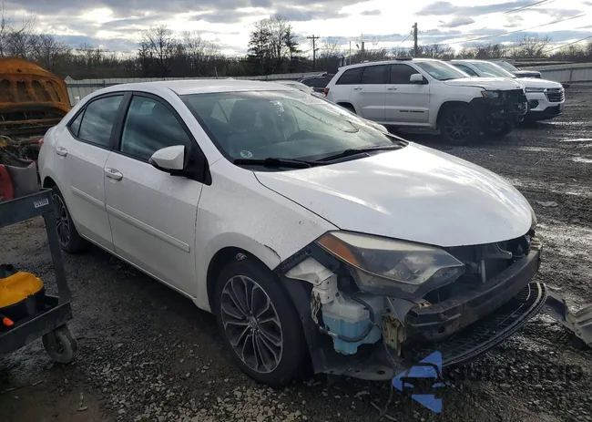 2T1BURHE5FC365872: 99565955