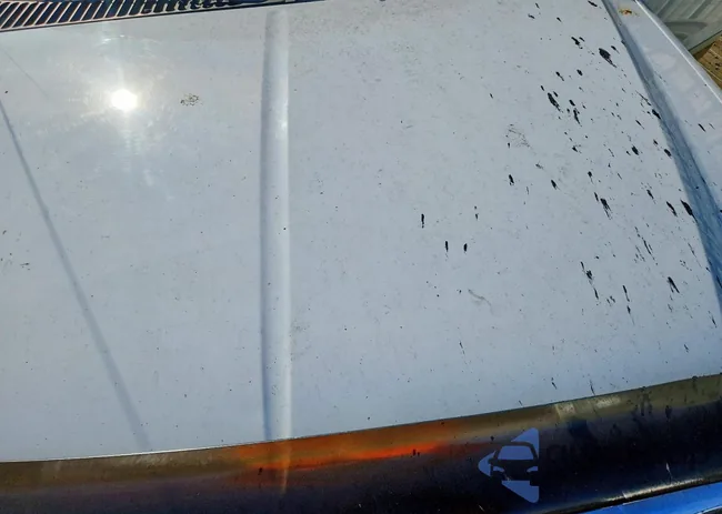 1FTSW20535EC60448: 99552315