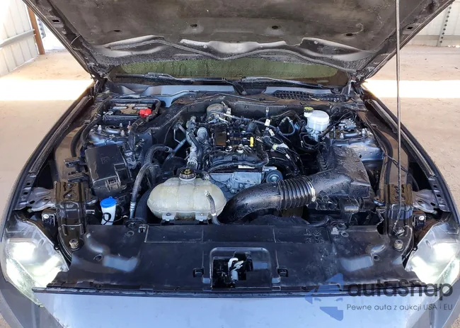 1FA6P8TH6M5134015: 72592005