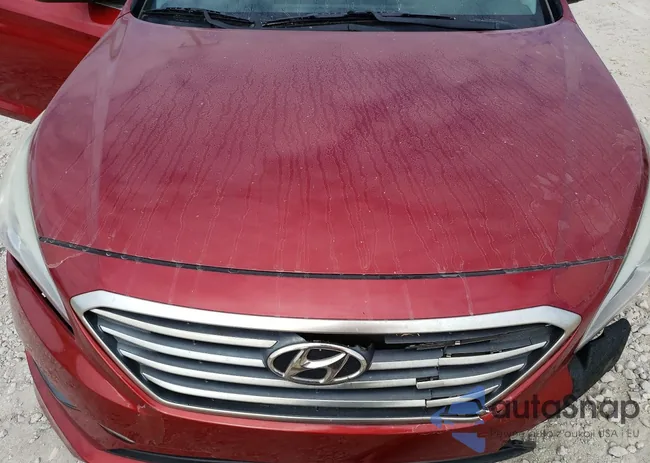 5NPE24AF4FH109454: 73489565