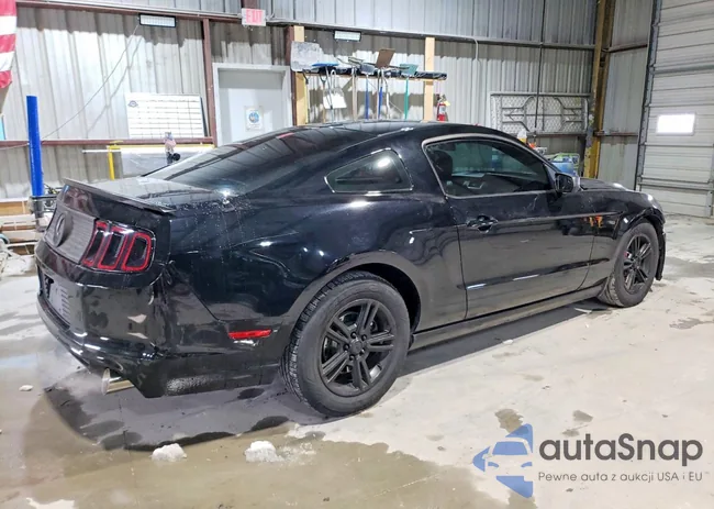 1ZVBP8AM2D5261303: 75061385