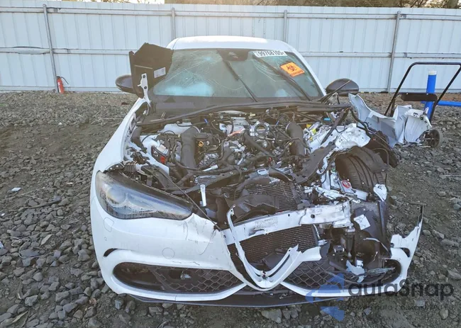 ZARFAMEV6K7607345: 99768105