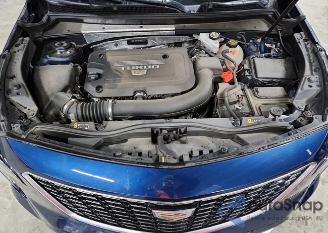 1GYFZDR47MF009112: 75241505