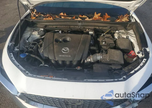 3MVDMABL0MM257258: 99671265