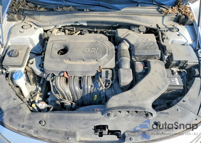 5XXGU4L39GG006064: 75486595