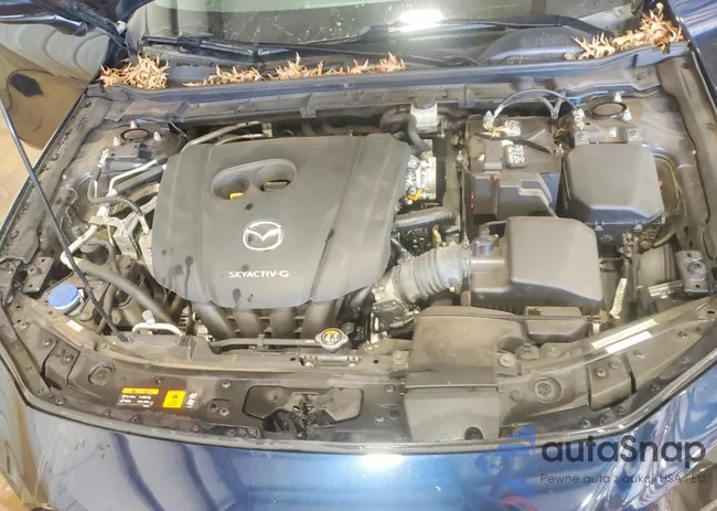 JM1BPBJM5K1136980: 99053275