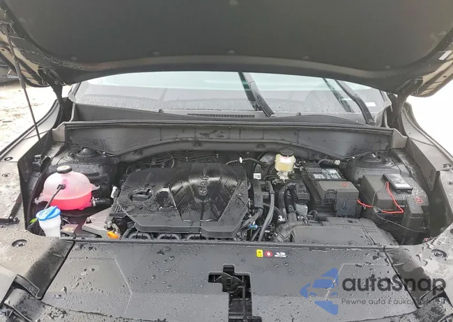 5XYRL4JC4TG427923: 74941735